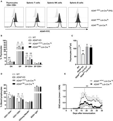 Immune Cell-Type Specific Ablation of Adapter Protein ADAP Differentially Modulates EAE